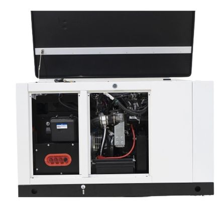10kw15kw φυσικό αέριο 1 φάση προπάνιο βουτάνιο μείγμα LPG γεννήτρια αερίου για το όφελος σας