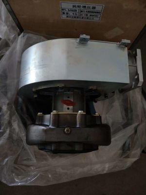 Μόνιμη εγκατάσταση W12V190 Τμήματα γεννήτριας φυσικού αερίου Shengdong με τύπο εξόδου συνεχούς ρεύματος