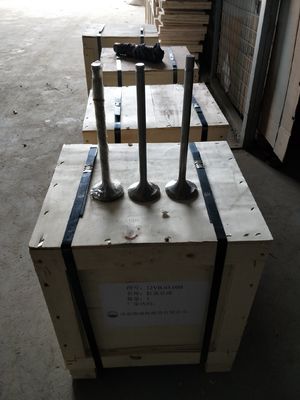 Προσαρμογή 118KG W12V190.03.01 Βαλβίδα εισόδου για 500kw γεννήτρια φυσικού αερίου Shengdong