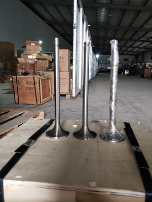 Προσαρμογή 118KG W12V190.03.01 Βαλβίδα εισόδου για 500kw γεννήτρια φυσικού αερίου Shengdong