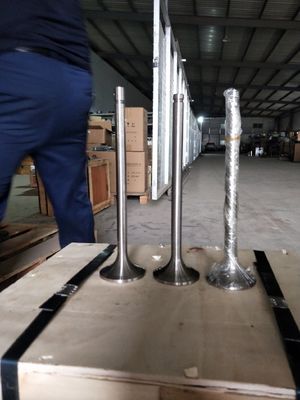 Προσαρμογή 118KG W12V190.03.01 Βαλβίδα εισόδου για 500kw γεννήτρια φυσικού αερίου Shengdong