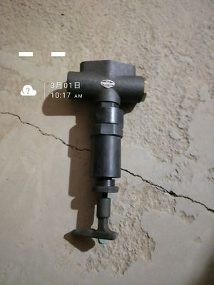 Αλουμίνιο 12V190 Μηχανικά για ντίζελ για απαιτήσεις πελατών