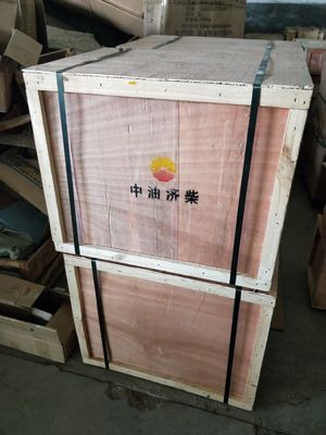 Z12V190bc10 Τμήματα κινητήρα ντίζελ Jinan προσαρμοσμένα στις ανάγκες σας