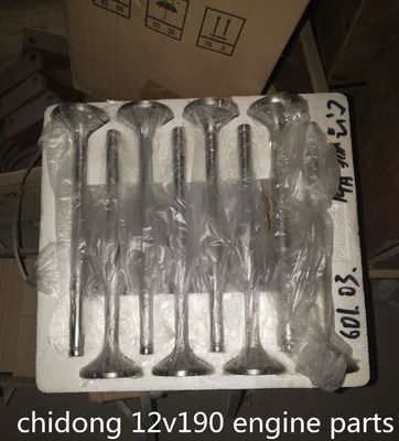 Co810f-3/22 G12V190zl-3 Τμήματα κινητήρα ντίζελ Τζινάν 12V190 Το πινέλο του έμβολο σε προσιτή τιμή