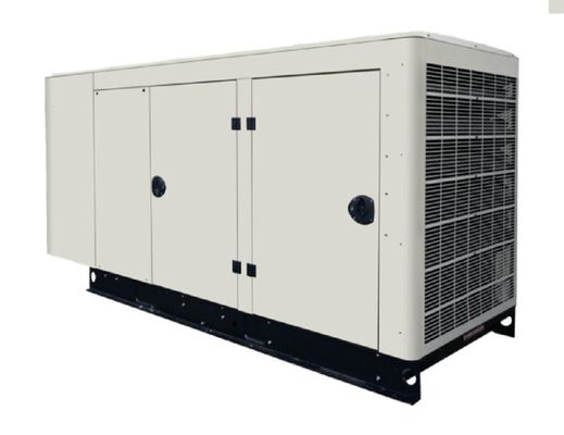 Συγκρότημα γεννήτριας βιοαερίου 60kVA για σφαγείο αγροκτημάτων 1500 / 1800 Rmp